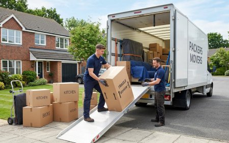How to Choose the Right Packing and Moving Firm for You