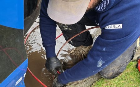 Blocked Drains Keilor