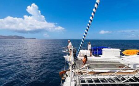 Discover Wildlife Up Close: Benefits of Small Group Galapagos Cruises