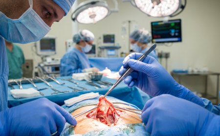 Importance of Tissue Forceps in Modern Medical Practice