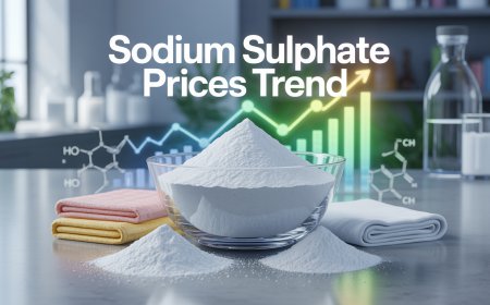 Sodium Sulphate Price Trend: Market Insights and Key Influencing Factors