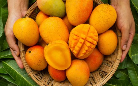 Organic Kesar Mango: Is It Worth the Price?