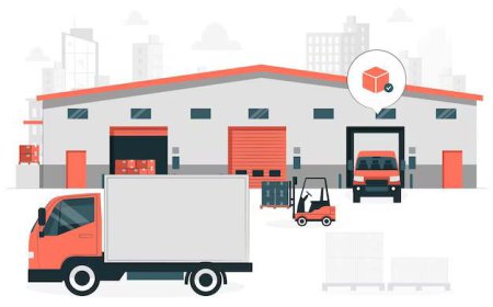 Why 3PL Companies in India Are Necessary for Effective Supply Chain Management