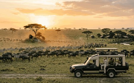 How to Choose the Most Authentic Tanzania Safari Packages for 2026