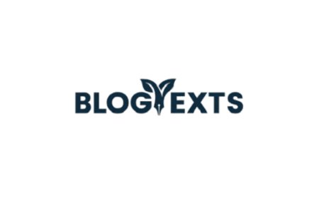 Blog Texts Wins with Niche Authority Website Strategy