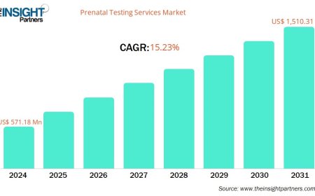 Prenatal Testing Services Market Segmentation Analysis: Insights by Test Type, Technology, and End User