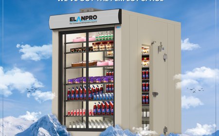 Cold Room vs Deep Freezer: What Suits Your Business Better?
