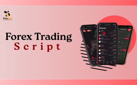 How to Choose the Best Forex Trading Script for Your Trading System Business In 2026