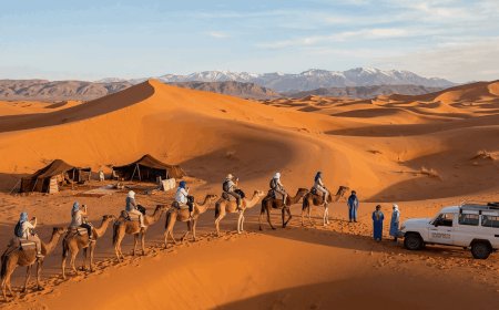 How to Partner with the Right Marrakech Tours Agency for Your Adventure
