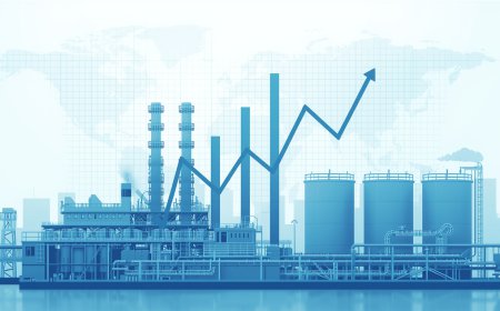 Understanding the Sodium Chlorate Price Trend in the Current Market