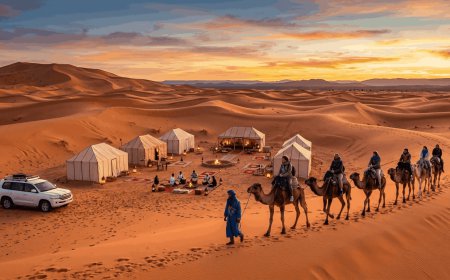 How to book the best Fes to Marrakech desert tours for your adventure