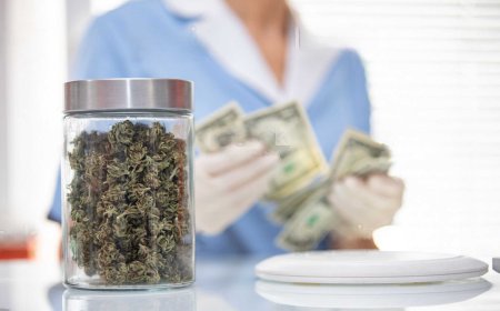 A Beginner’s Guide to Buying Weed Online in Canada