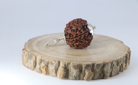 Buy 6 Mukhi Rudraksha