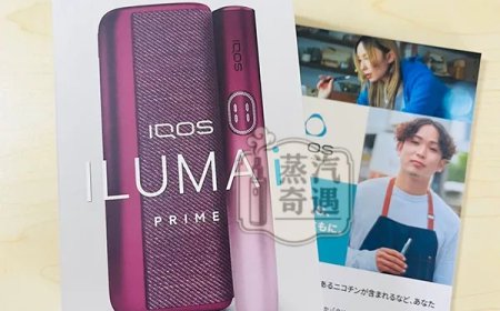 IQOS ILUMA 全家加熱菸主機比較｜PRIME、I、ONE 差在哪一次看懂