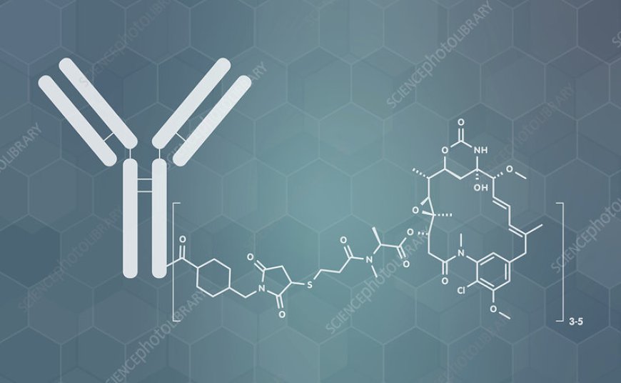 Small Molecule-Drug Conjugates Market
