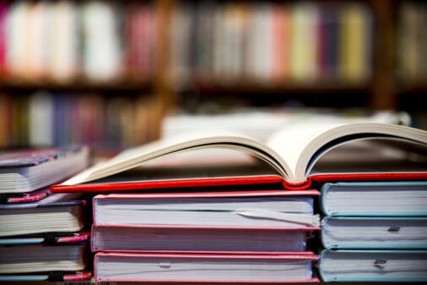 How to Build a High-Quality Education Industry Email List for Marketing