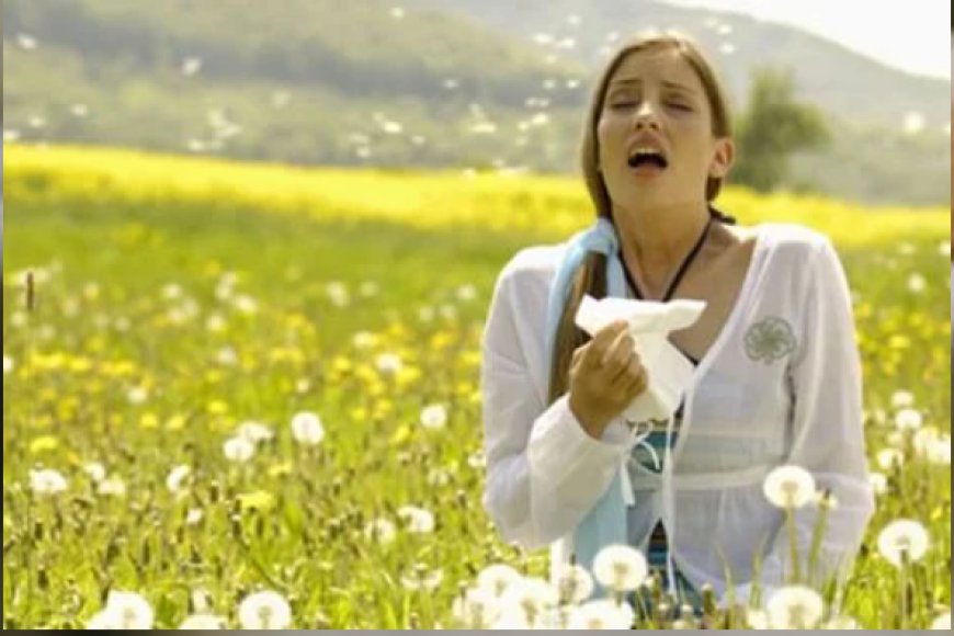 From Symptoms to Solutions: Understanding Hayfever Injections