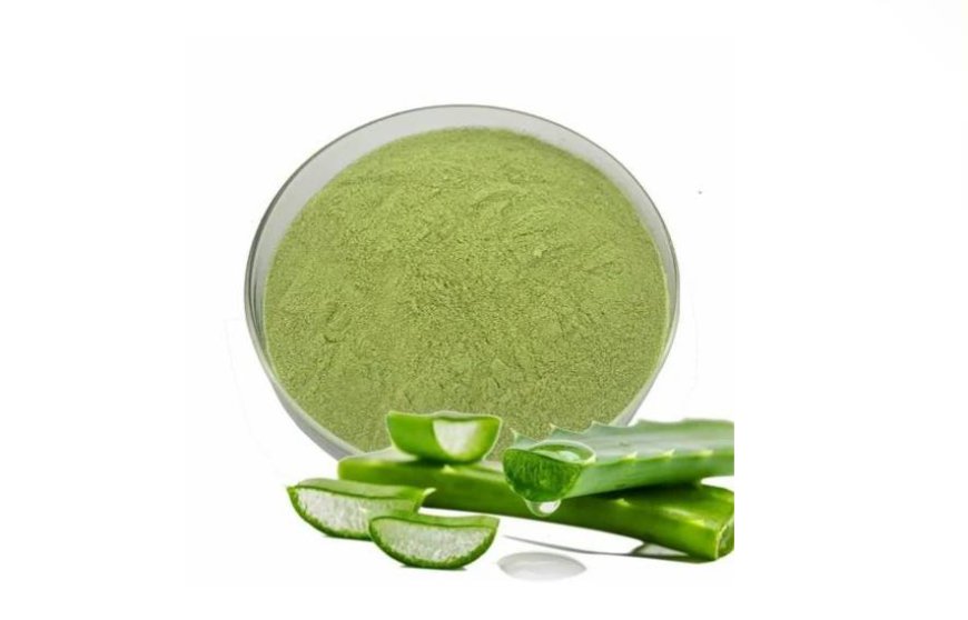 Why Aloe Vera Dry Extract is Gaining Popularity in Global Wellness Markets