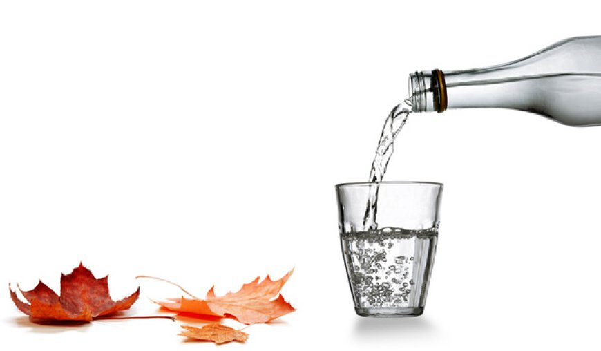 メープルウォーター市場規模、トレンド、収益、成長分析（2026年～2033年）