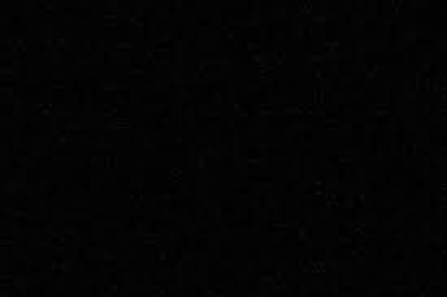 Echoes of Chance in Dutch Cultural Heritage