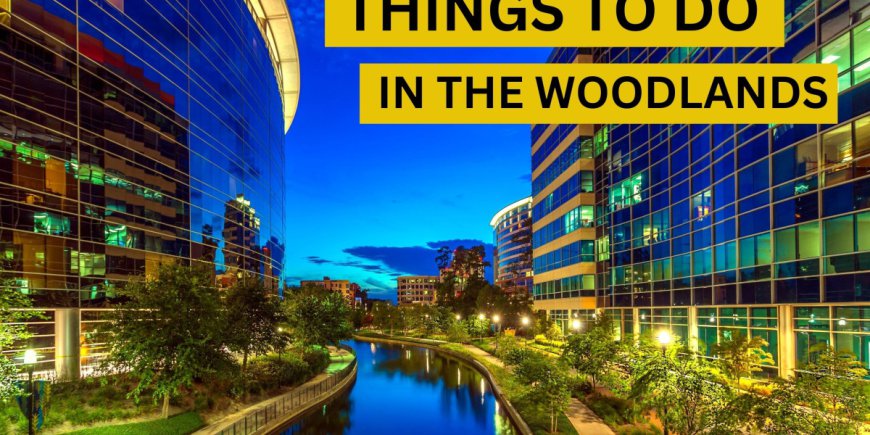 Things to Do in The Woodlands This Weekend: Visit a Local Farm