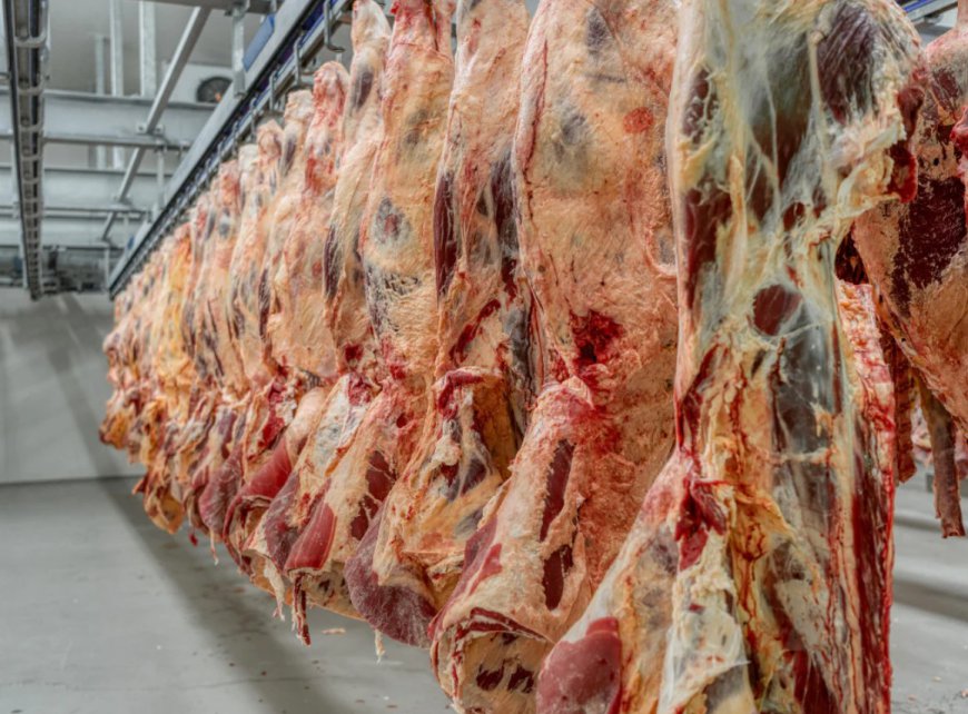 Buying Half a Cow in Texas Just Feels Right