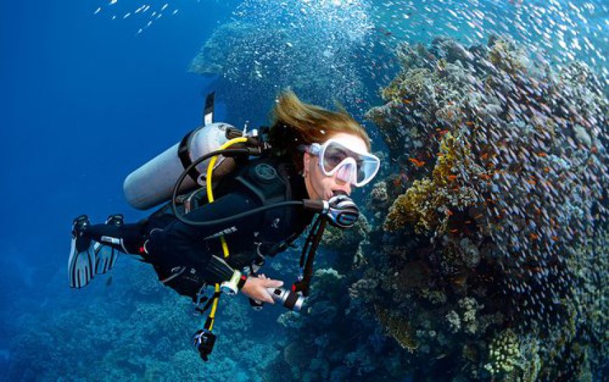 Scuba Diving Philippines: Discover the Best Underwater Adventures in the Philippines (2026 Guide)