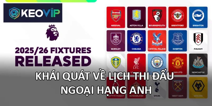 Lịch Thi Đấu Ngoại Hạng Anh – Thông Tin Mới Nhất Theo Giờ