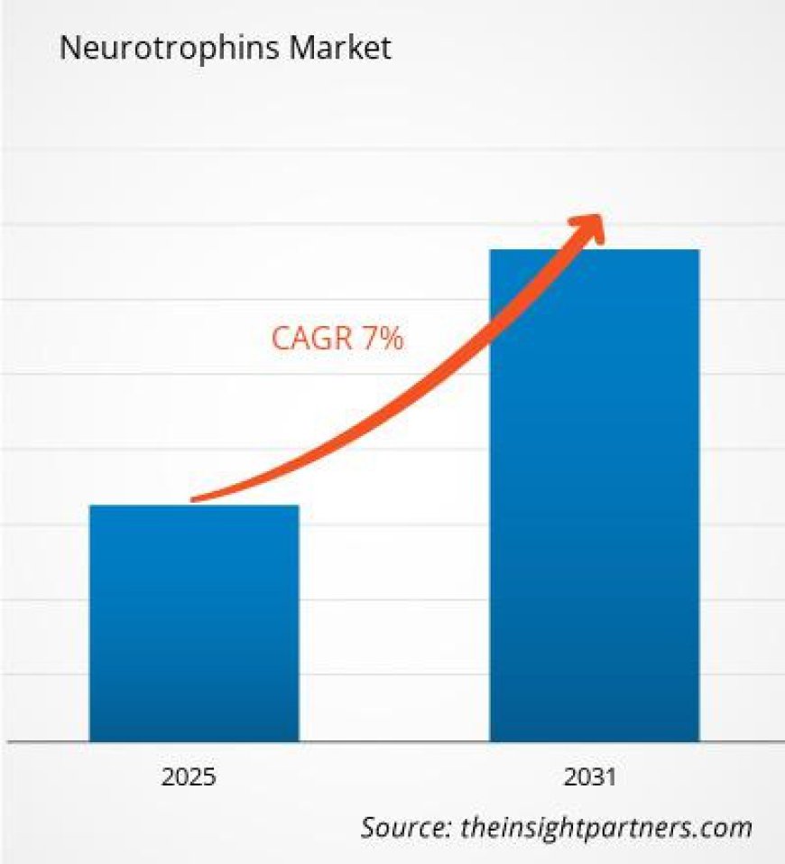 Neurotrophins Market Share Analysis by Geography: Regional Insights and Growth Patterns