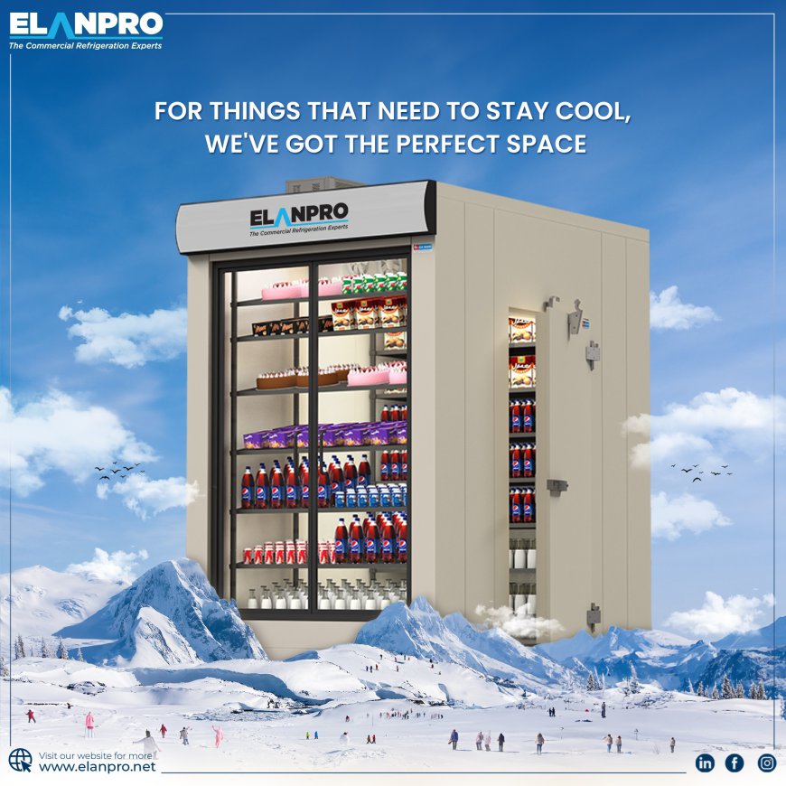 Cold Room vs Deep Freezer: What Suits Your Business Better?
