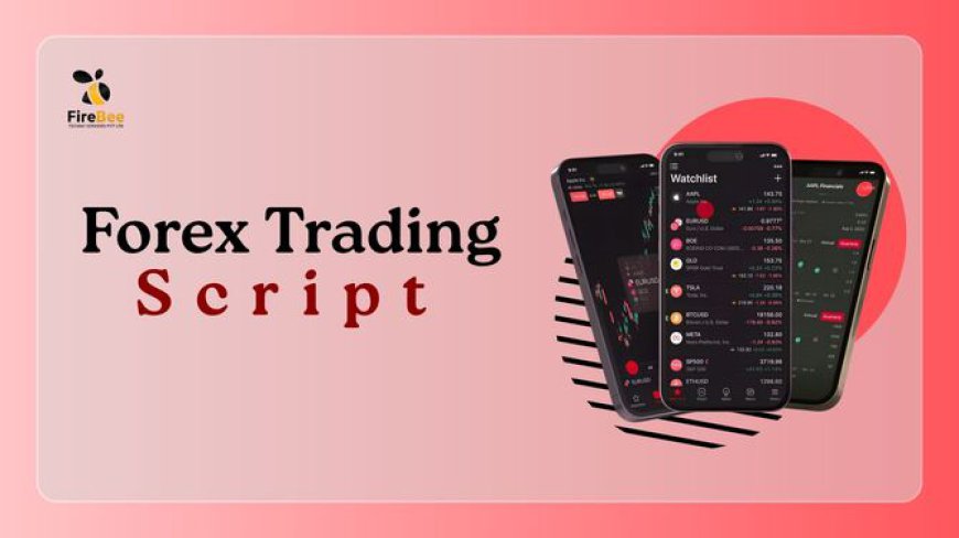 How to Choose the Best Forex Trading Script for Your Trading System Business In 2026