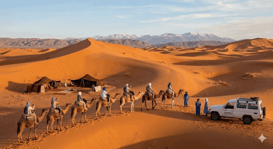 How to Partner with the Right Marrakech Tours Agency for Your Adventure