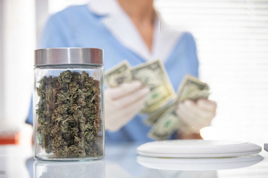 A Beginner’s Guide to Buying Weed Online in Canada