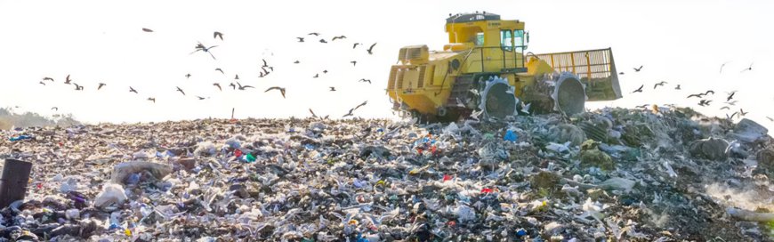 埋立地ガス市場の包括的分析：市場規模、動向、および成長予測