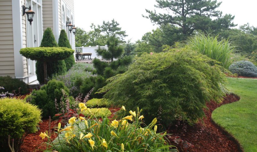 7 Signs You Need a Professional Lawn Maintenance Service in Sagamore Beach Right Now