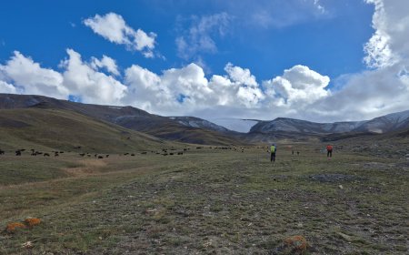 Dzo jongo peak trek itinerary