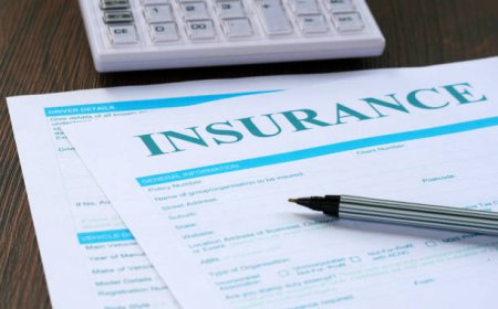 Best SR22 Insurance Policy Provider Options for High-Risk Drivers
