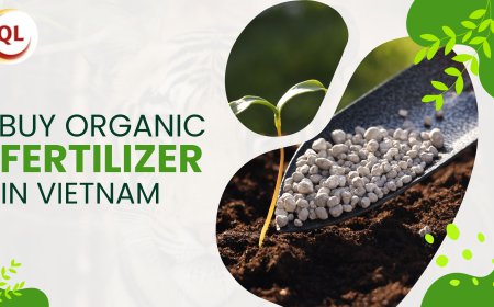 Top Benefits When You Buy Organic Fertilizer in Vietnam from Trusted Suppliers