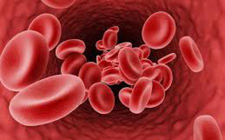 Why Women Are More Prone to Anemia in Dubai