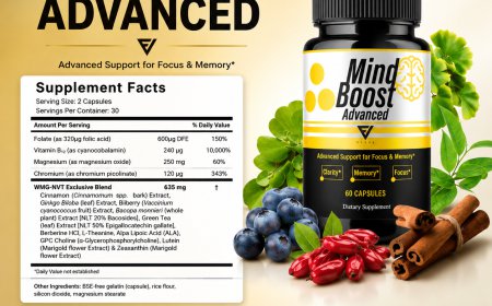 MindBoost Reviews USA – Brain Support for Focus & Memory