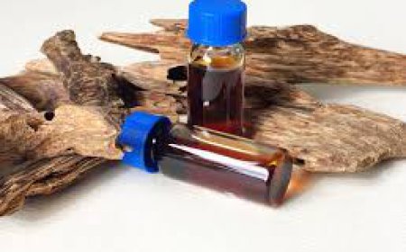 Premium Agarwood Supplier Vietnam for Global Buyers