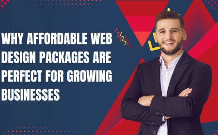 Why Affordable Web Design Packages Are Perfect for Growing Businesses