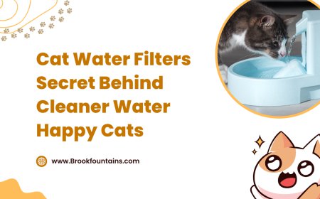 Cat Water Filters Secret Behind Cleaner Water Happy Cats