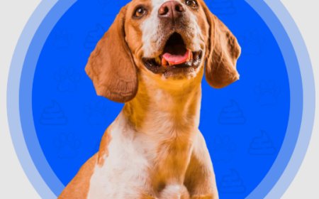 Best Dog Pooper Scooper Services for a Clean & Healthy Yard