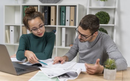 Economics Assignment Help: From Demand and Supply to Econometrics
