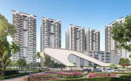 Long-Term Capital Performance and Resale Dynamics: Godrej Nature Plus