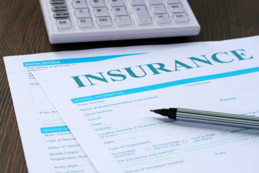 Best SR22 Insurance Policy Provider Options for High-Risk Drivers