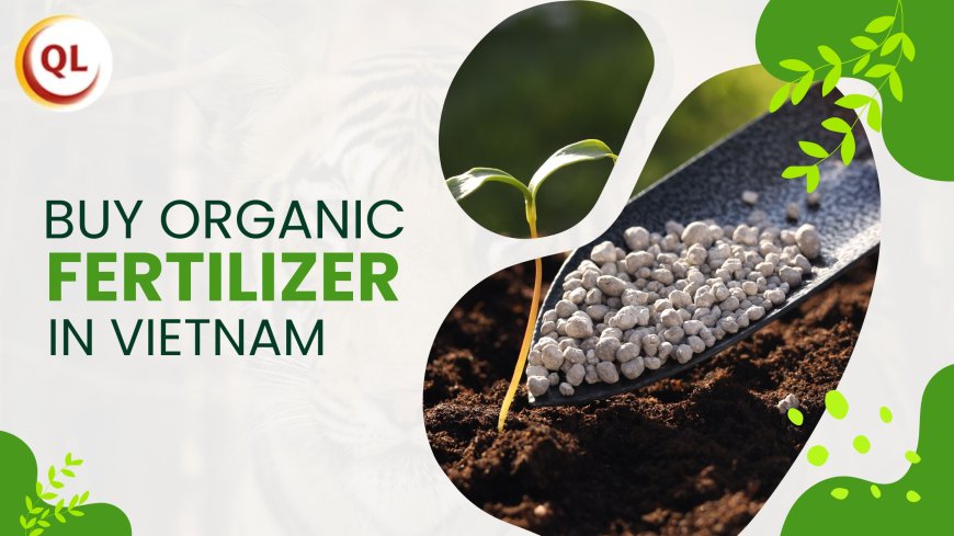 Top Benefits When You Buy Organic Fertilizer in Vietnam from Trusted Suppliers