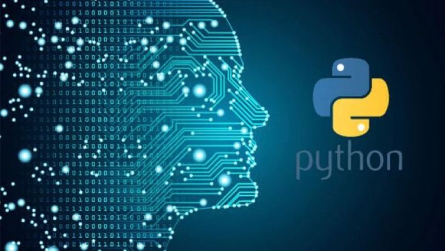 What is Python Used For?