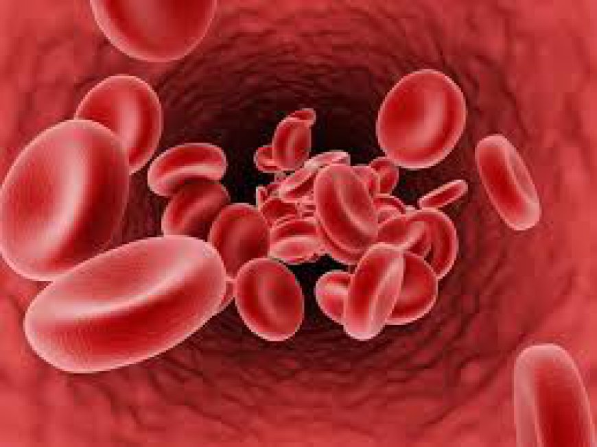 Why Women Are More Prone to Anemia in Dubai